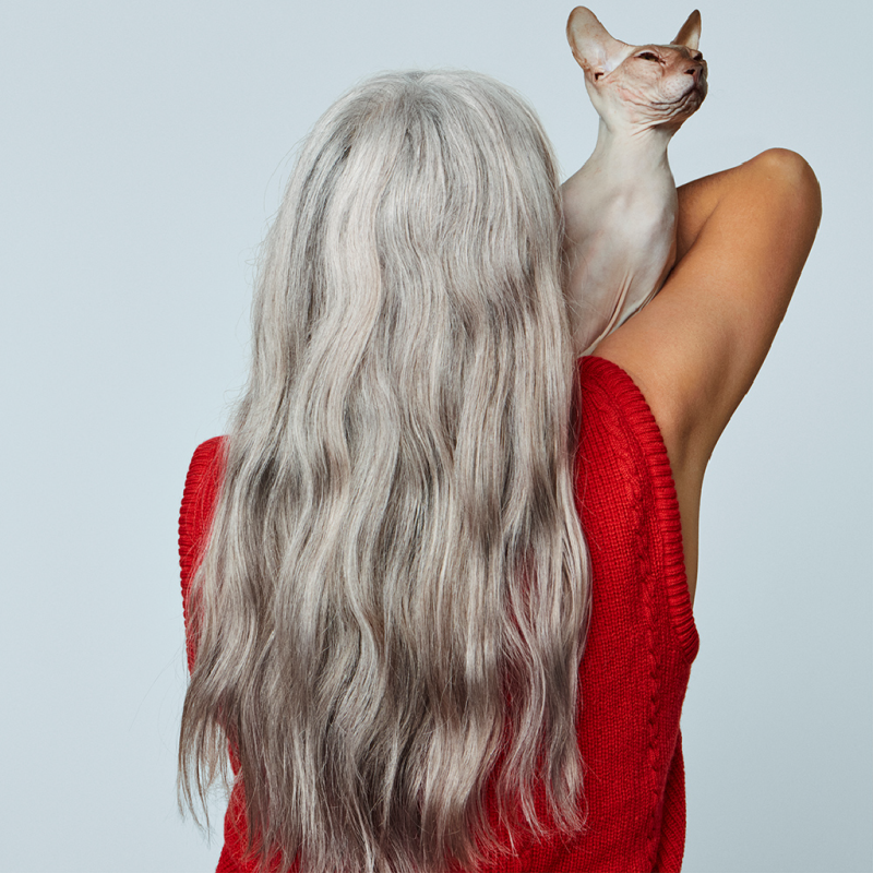 Fade To Grey Toner Kit Bleach London